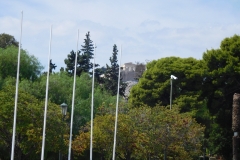 DSCN1892