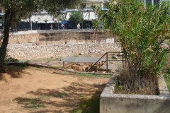 DSCN1915