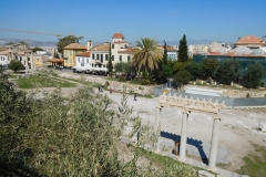 DSCN1936