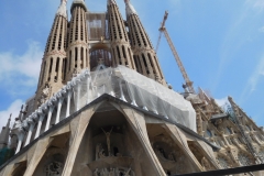 DSCN1608