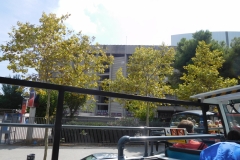 DSCN1624