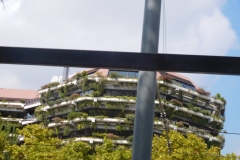 DSCN1626