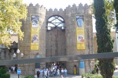 DSCN1650