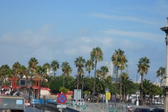 DSCN1670