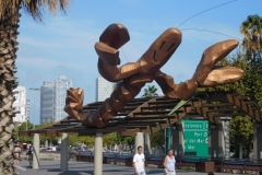DSCN1671