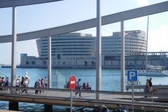 DSCN1674