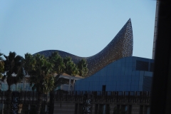 DSCN1678