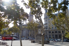 DSCN1679