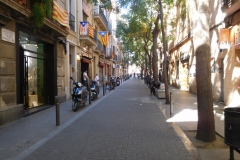 A street in Gracia Neighborhood