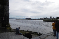 DSCN0064