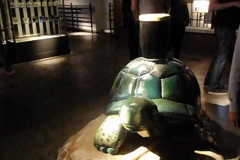 DSCN1331