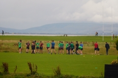 Hurling team practicing