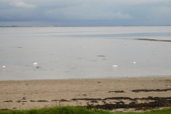 The Pacific Ocean