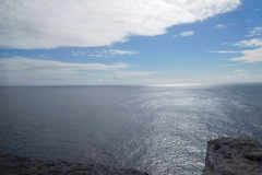 DSCN0222