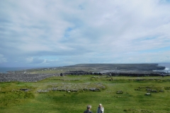 DSCN0225
