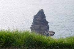 DSCN0246