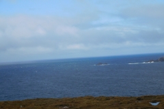 DSCN0264