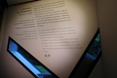 DSCN2031