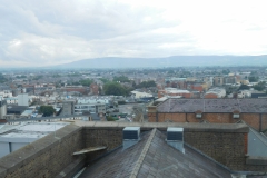 DSCN1541