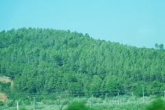 DSCN1548