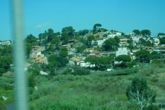 DSCN1551