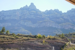 DSCN1553
