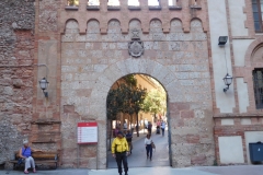 DSCN1572