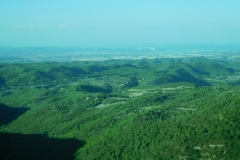 DSCN1595