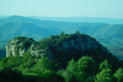 DSCN1597