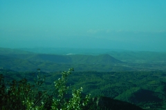 DSCN1598