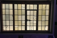 IMAG1151